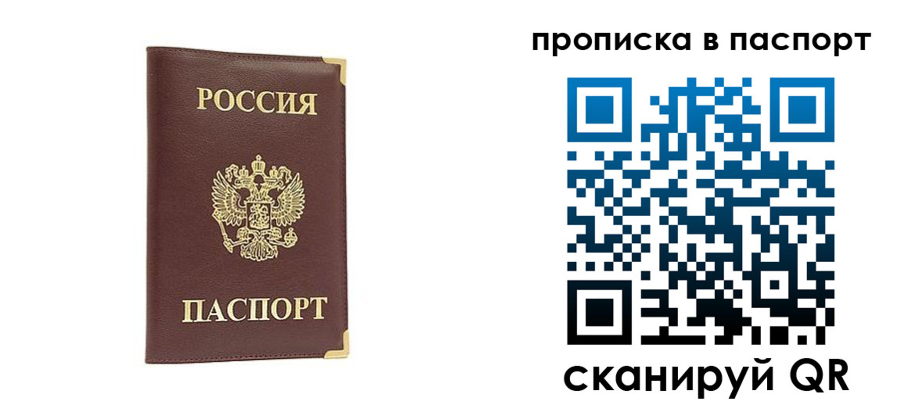временная регистрация адрес в Оленегорске